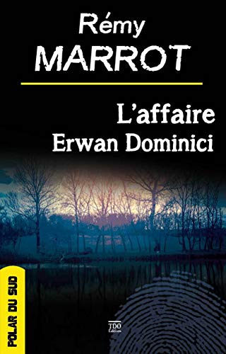 Stock image for L'affaire Erwan Dominici for sale by medimops