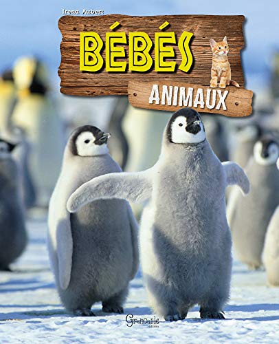 Beispielbild fr Bbs animaux zum Verkauf von Ammareal