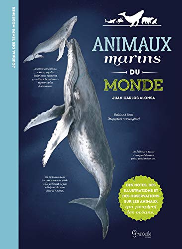 Beispielbild fr Animaux marins du monde zum Verkauf von medimops