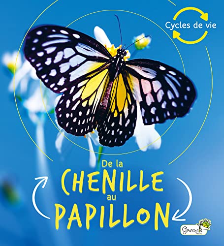 Beispielbild fr De la chenille au papillon zum Verkauf von WorldofBooks