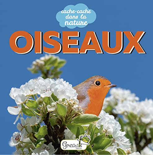 Beispielbild fr Oiseaux zum Verkauf von RECYCLIVRE