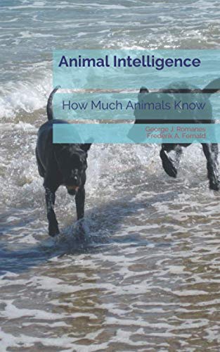 Stock image for Animal Intelligence: How Much Animals Know for sale by Books Unplugged