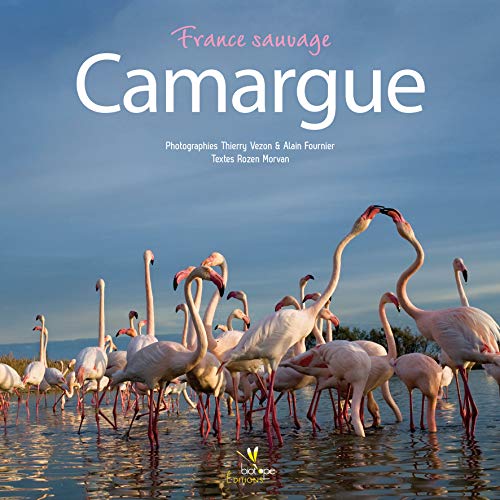 Stock image for Camargue Sauvage for sale by RECYCLIVRE