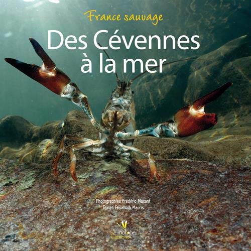 Beispielbild fr Des Cvennes  la mer zum Verkauf von Ammareal