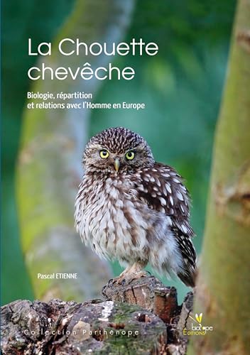 9782366620061: La Chouette chevche: Biologie, rpartition et relation avec l'Homme en Europe