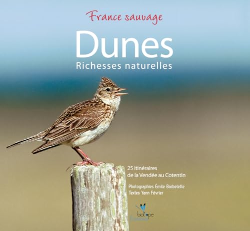 Beispielbild fr Dunes d'Armorique: De la Vende au Cotentin : faune, flore et itinraires zum Verkauf von Ammareal