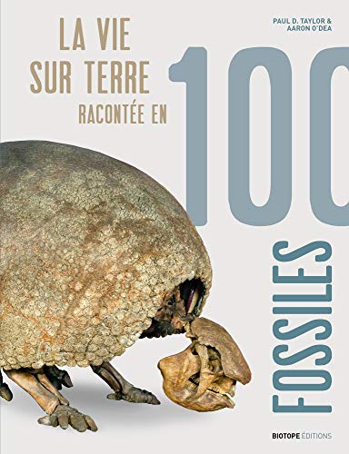 Beispielbild fr La vie sur Terre raconte en 100 fossiles zum Verkauf von medimops