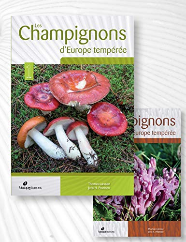 Beispielbild fr Champignons d'Europe temperee (2 volumes) zum Verkauf von Gallix
