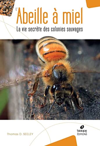 Stock image for L'abeille  miel : La vie secrte des colonies sauvages for sale by medimops