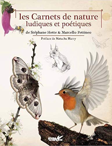 Beispielbild fr Les Carnets De Nature : Ludiques Et Potiques zum Verkauf von RECYCLIVRE