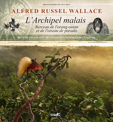 Beispielbild fr L'archipel malais - Berceau de l'orang-outan et de l'oiseau zum Verkauf von Gallix