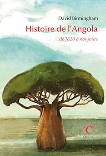 9782367321608: Histoire de l'Angola de 1820  nos jours