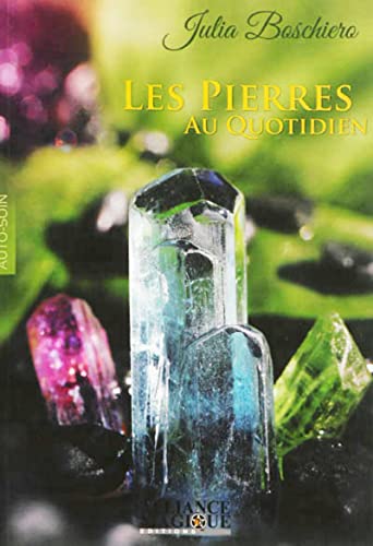 Beispielbild fr Les Pierres au quotidien zum Verkauf von medimops