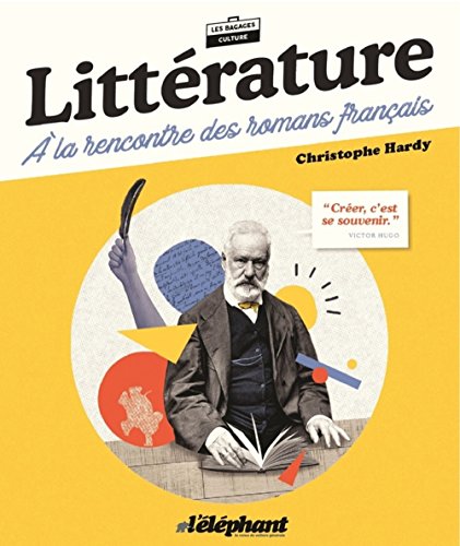 Beispielbild fr Littrature : A la rencontre des romans franais zum Verkauf von medimops