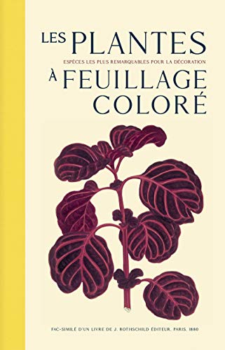Beispielbild fr Les plantes  feuillage color - Les espces les plus remarquables pour la dcoration zum Verkauf von medimops
