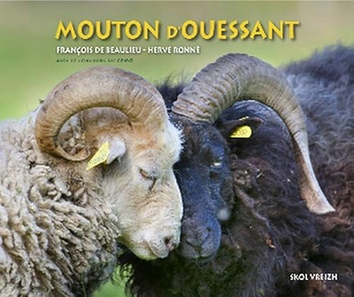 Stock image for Le mouton d'Ouessant for sale by GF Books, Inc.