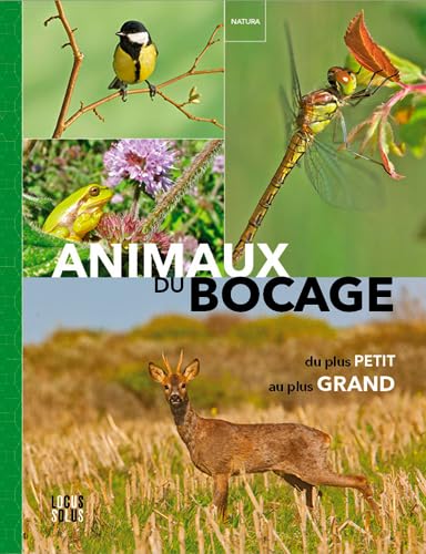 Beispielbild fr Animaux du bocage - Du plus petit au plus grand [Reli] GLOAGUEN, Alexis et KERGOAT Serge zum Verkauf von BIBLIO-NET