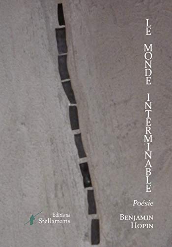 le monde interminable - Hopin, Benjamin