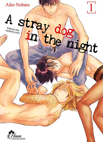 Imagen de archivo de Stray Dog in the night - Tome 01 - Livre (Manga) - Yaoi - Hana Collection a la venta por Librairie Th  la page