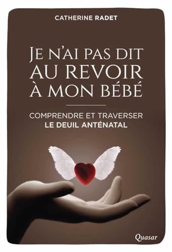 Beispielbild fr Je n'ai pas dit au revoir  mon bb : Comprendre et traverser le deuil antnatal zum Verkauf von Revaluation Books