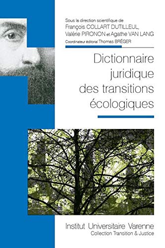Stock image for DICTIONNAIRE JURIDIQUE DES TRANSITIONS ECOLOGIQUES for sale by Gallix
