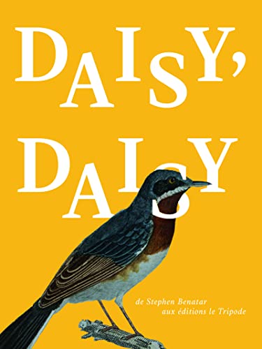 Imagen de archivo de Daisy, daisy a la venta por medimops