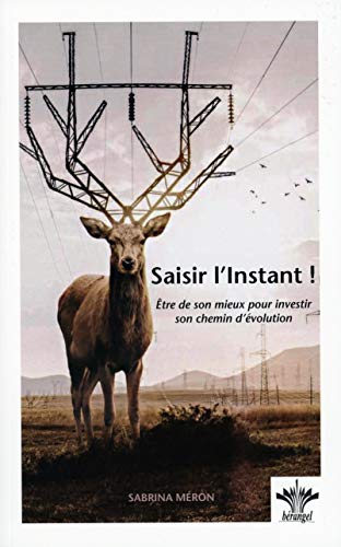 Beispielbild fr Saisir l'instant ! : Etre de son mieux pour investir son chemin d'volution zum Verkauf von Revaluation Books