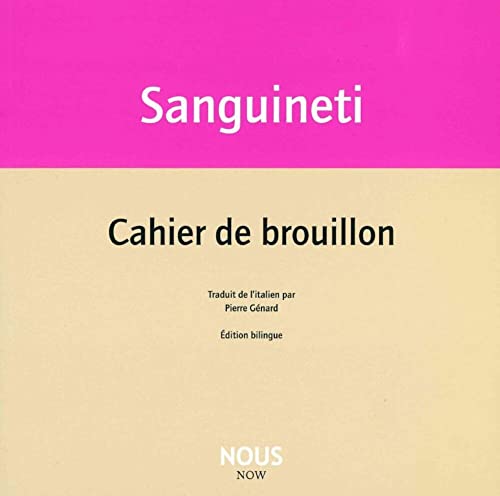 Beispielbild fr Cahier de brouillon zum Verkauf von Gallix
