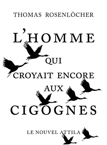 Stock image for L'homme qui croyait encore aux cigognes for sale by medimops