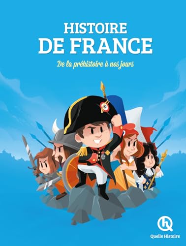 Imagen de archivo de Histoire De France : De La Prhistoire  Nos Jours a la venta por RECYCLIVRE