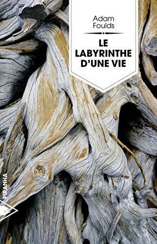 Beispielbild fr Le labyrinthe d'une vie zum Verkauf von Ammareal