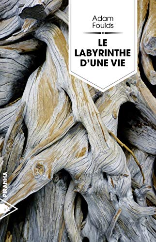 Imagen de archivo de Le labyrinthe d'une vie a la venta por Ammareal