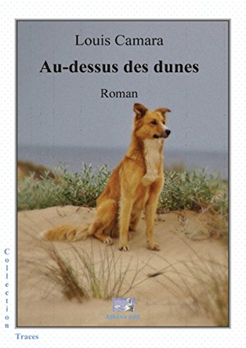 Beispielbild fr Au-dessus des dunes zum Verkauf von Ammareal