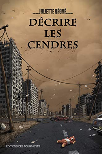 Beispielbild fr Dcrire les Cendres zum Verkauf von Buchpark