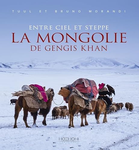 Beispielbild fr Entre Ciel Et Steppe : La Mongolie De Gengis Khan zum Verkauf von RECYCLIVRE