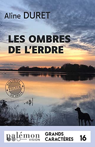 Beispielbild fr Les Ombres De L'erdre zum Verkauf von RECYCLIVRE