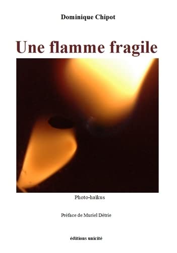 Beispielbild fr Une flamme fragile zum Verkauf von Gallix