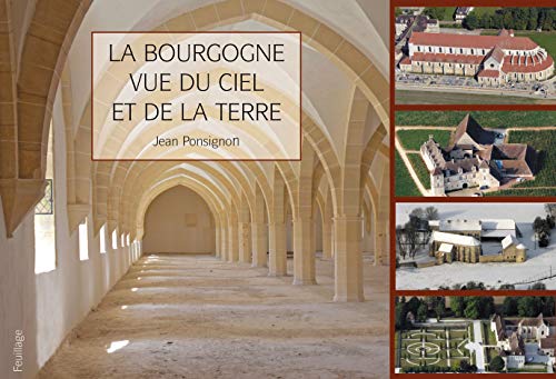 Beispielbild fr Bourgogne vue du ciel et de la Terre (La) zum Verkauf von Ammareal