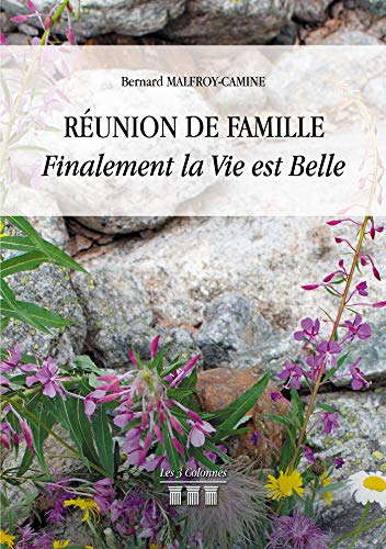 Stock image for Runion de famille : Finalement la vie est belle for sale by Revaluation Books