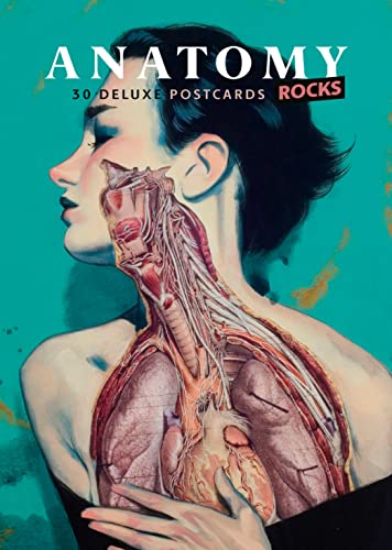 Imagen de archivo de Anatomy Rocks: 30 Deluxe Postcards a la venta por Half Price Books Inc.
