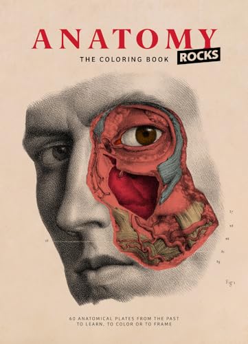 Stock image for Anatomy Rocks: The Coloring Book for sale by Housing Works Online Bookstore