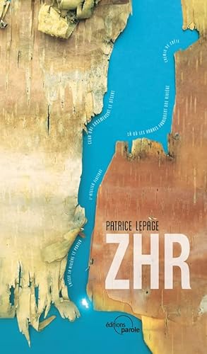 9782375861264: ZHR: Zone Hors Risque