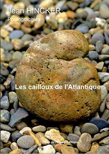 Beispielbild fr Les cailloux de l'Atlantique zum Verkauf von Ammareal
