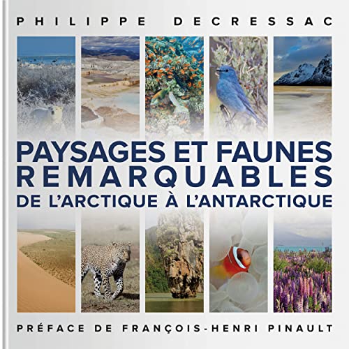 Stock image for Paysages et faunes remarquables de l'Arctique  l'Antarctique for sale by Ammareal