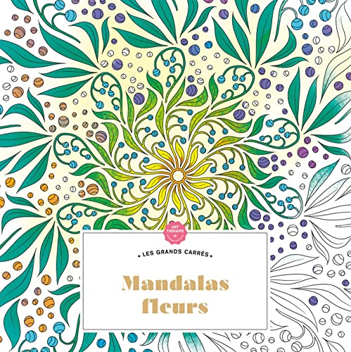 Beispielbild fr Mandalas fleurs zum Verkauf von medimops