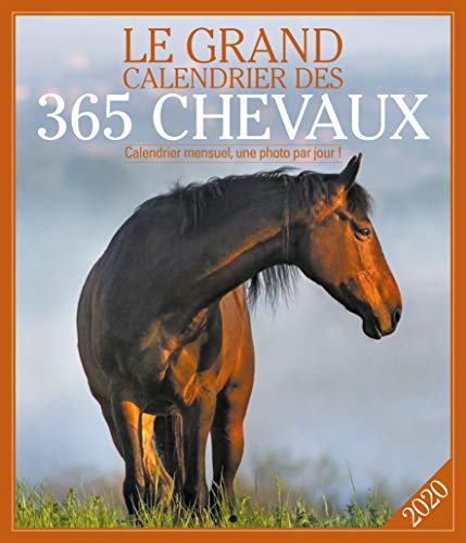 Beispielbild fr Le grand Calendrier des 365 chevaux 2020 Editions 365 zum Verkauf von BIBLIO-NET