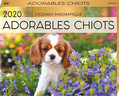 Beispielbild fr Agenda Panoramique Adorables Chiots 2020 Editions 365 zum Verkauf von BIBLIO-NET
