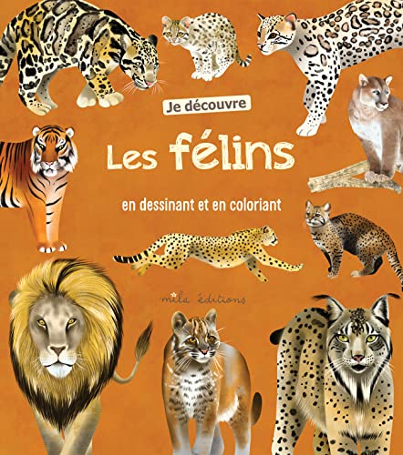 Stock image for Je dcouvre les flins en dessinant et en coloriant for sale by Librairie Th  la page