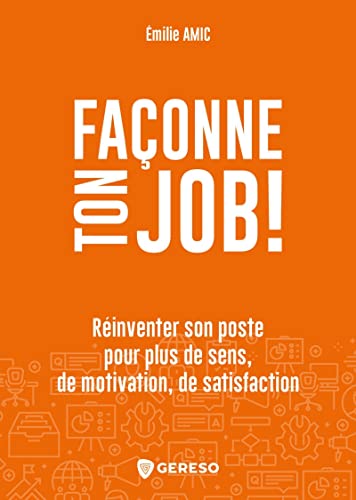 Beispielbild fr Faonne ton job !: Rinventer son poste pour plus de sens, de motivation, de satisfaction zum Verkauf von Gallix