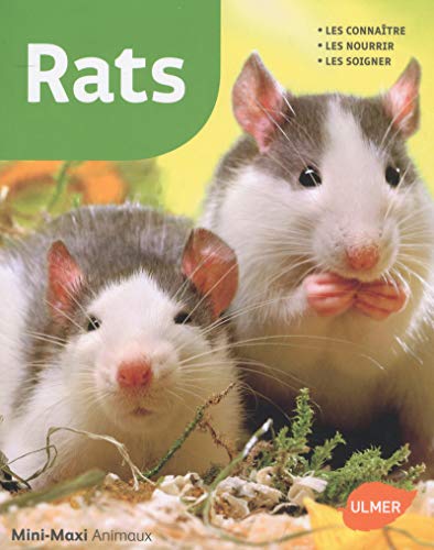 Stock image for Rats for sale by Ammareal